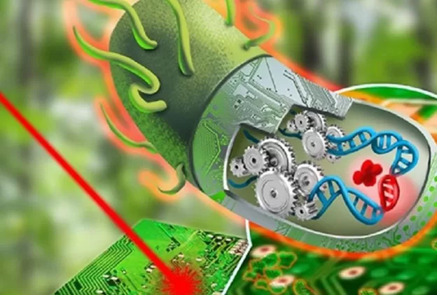 DNA molecular biology illustration